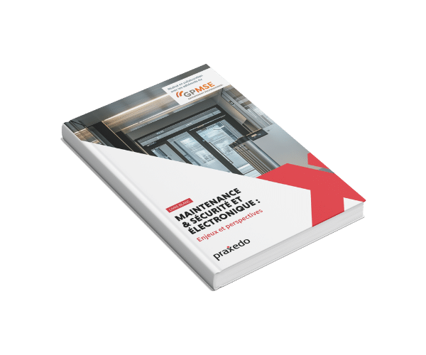 LB Sécurité Electronique Praxedo