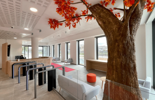 temoignage bollore protection - photo bollore protection - praxedo