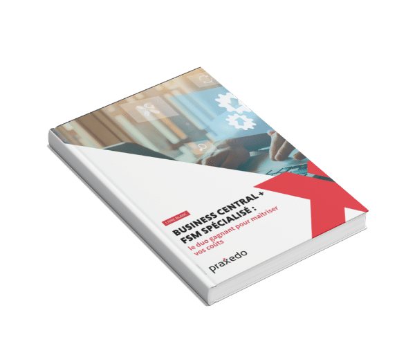livre blanc microsoft